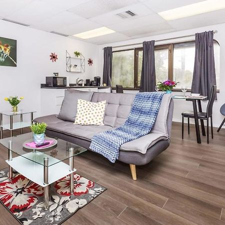 Modern 1Br Condo - Chinatown Near Little Italy Οττάβα Εξωτερικό φωτογραφία